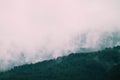 Beautiful foggy mystic mountains. Fog clouds at the pine tree my Royalty Free Stock Photo