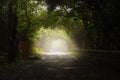 A beautiful foggy road in India Royalty Free Stock Photo