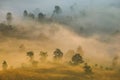 Beautiful foggy sunrise mist covered mountain forest landscape top view - Mountain ranges with tree at countryside Royalty Free Stock Photo