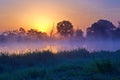Beautiful foggy sunrise over the Narew river. Royalty Free Stock Photo