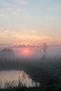 Beautiful foggy sunrise in Ukraine. Fog on the field. Untouched nature