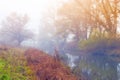 Beautiful foggy weather next to the river Royalty Free Stock Photo