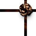 Beautiful foil brown bow with ribbon on white background