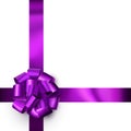 Beautiful foil purple bow with ribbon on white background