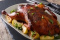 Beautiful food: baked whole duck with apples close-up on a platter. horizontal