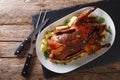 Beautiful food: baked whole duck with apples close-up on a platter. horizontal top view