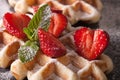 Beautiful food: Belgian waffles with fresh strawberries. Horizon