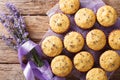Beautiful food dessert: muffins with lavender flowers close-up.