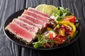 Beautiful food: steak tuna in sesame, lime and fresh salad close