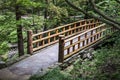 Footbridge in the Arkansas Woods Royalty Free Stock Photo