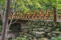 Beautiful Footbridge in the Woods Royalty Free Stock Photo
