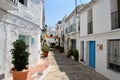 Beautiful footpath in Frigiliana with nicely decorated pavement and loads of plants, Frigiliana - Spanish white village Andalusia