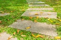 Beautiful footpath or walkway in outdoor garden flanked with green grass meadow field. Royalty Free Stock Photo