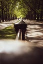 Beautiful forest alley over path and road for cars. Constitution hillÃÂ´s street connected Buckingham palace and Hyde Park. Beauty Royalty Free Stock Photo