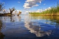 Beautiful tree an clouds reflecting on calm lake shore Royalty Free Stock Photo