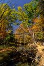 Beautiful forest fall scenery, Central Canada, ON, Canada