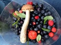 Forest gifts: mushrooms, berries, leaves