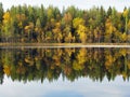 Beautiful forest lake Royalty Free Stock Photo