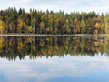 Beautiful forest lake Royalty Free Stock Photo