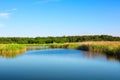 Beautiful forest lake lake under blue cloudy sky Royalty Free Stock Photo