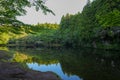 beautiful forest and lake Royalty Free Stock Photo