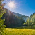 Beautiful forest lake in the mountains Royalty Free Stock Photo