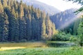 Beautiful forest lake in the mountains Royalty Free Stock Photo