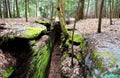 Beautiful forest landscape with the big green mossy canyon on the ledges pass in Cuyahoga Valley near Cleveland, Ohio, USA