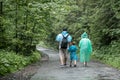 Beautiful forest landscape. Father, son and daughter are walking on a wet road after a heavy rain in raincoats. The boy is holding Royalty Free Stock Photo