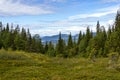 Beautiful forest landscape in the Kola Peninsula