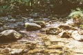 Beautiful Forest Landscape,  Stream Flowing Water Royalty Free Stock Photo