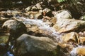 Beautiful Forest Landscape,  Stream Flowing Water Royalty Free Stock Photo