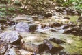 Beautiful Forest Landscape, Stream Flowing Water, Mountain Creek, Summer Day Royalty Free Stock Photo