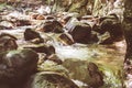 Beautiful Forest Landscape, Stream Flowing Water, Mountain Creek, Summer Da