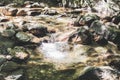 Beautiful Forest Landscape, Stream Flowing Water, Mountain Creek, Summer Royalty Free Stock Photo