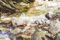 Beautiful Forest Landscape, Stream Flowing Water, Mountain Creek, Summer Day Royalty Free Stock Photo