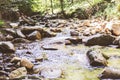 Beautiful Forest Landscape,  Stream Flowing Water, Mountain Creek, Summer Day In Nature Royalty Free Stock Photo