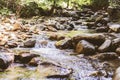 Beautiful Forest Landscape,  Stream Flowing Water, Mountain Creek, Summer Day In Nature Royalty Free Stock Photo