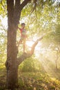 The sun`s rays make their way through the leaves of trees in a garden  at sunset  in summer.  Children sit on a tree and Royalty Free Stock Photo