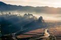 Beautiful forest in the mist in early morning Royalty Free Stock Photo