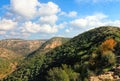 Beautiful forest natural landscape in Northern Israel