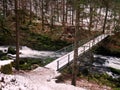 Beautiful forest and the Orbe river with a small bridge covered with snow in winter Royalty Free Stock Photo