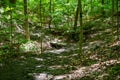 Small foot bridge over a lush woodland stream along an idyllic hiking trail Royalty Free Stock Photo