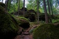 Beautiful forest path between Hinterhermsdorf and the Obere Schleuse