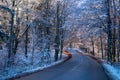 Beautiful forest road in winter time