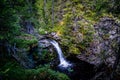 Beautiful forest scene with waterfall and old conifer trees, cliff and water pool in northern Sweden.