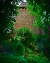 Beautiful forest scenery with lush green nature and vegetation and an old tower in the background Royalty Free Stock Photo