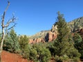 Beautiful forest Sedona Landscape