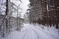 Beautiful forest in the snow, snowy road, winter around, winter fairy tale Royalty Free Stock Photo