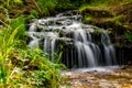Beautiful forest stream, small waterfall
